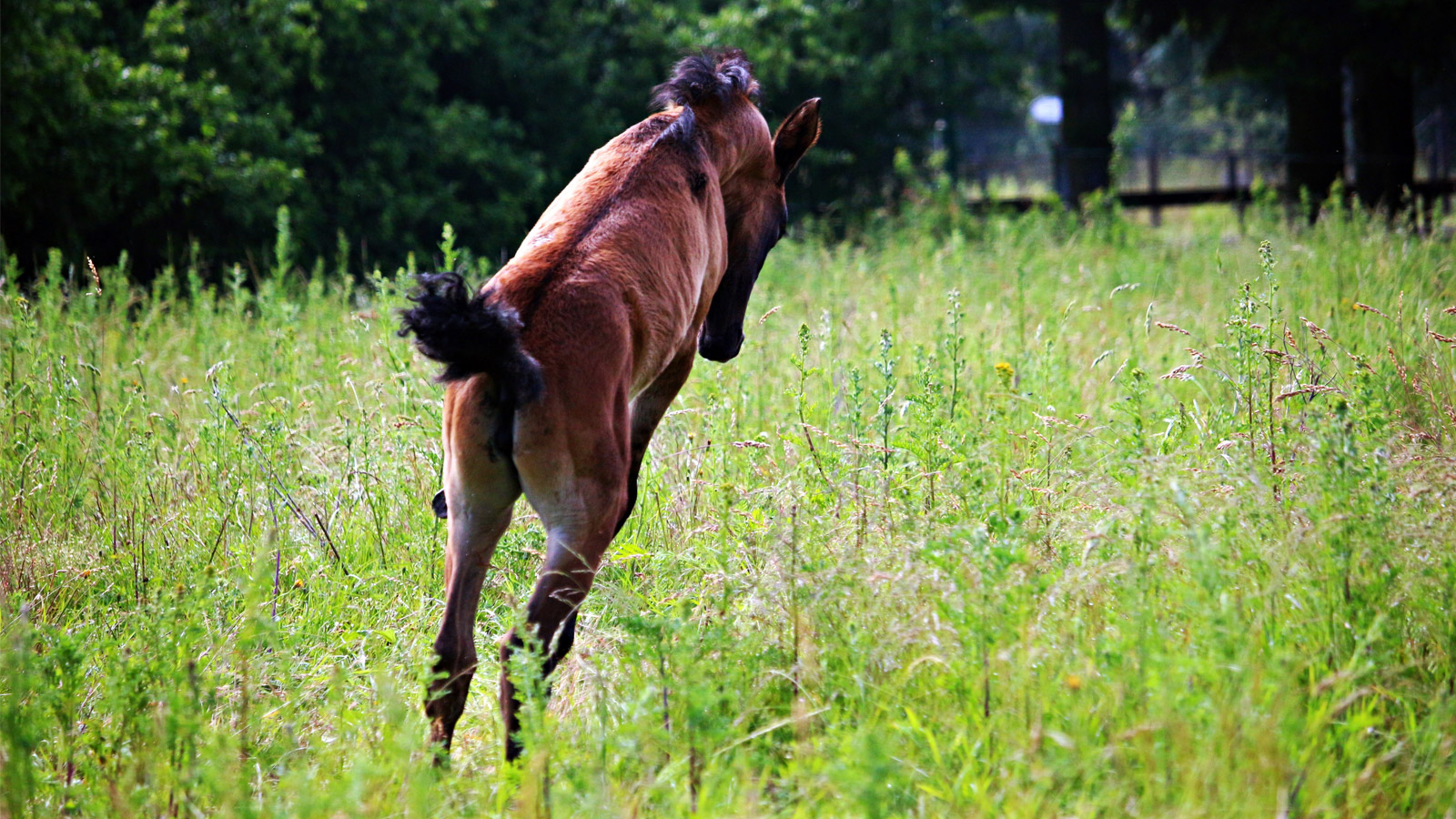 SPRING INTO ACTION