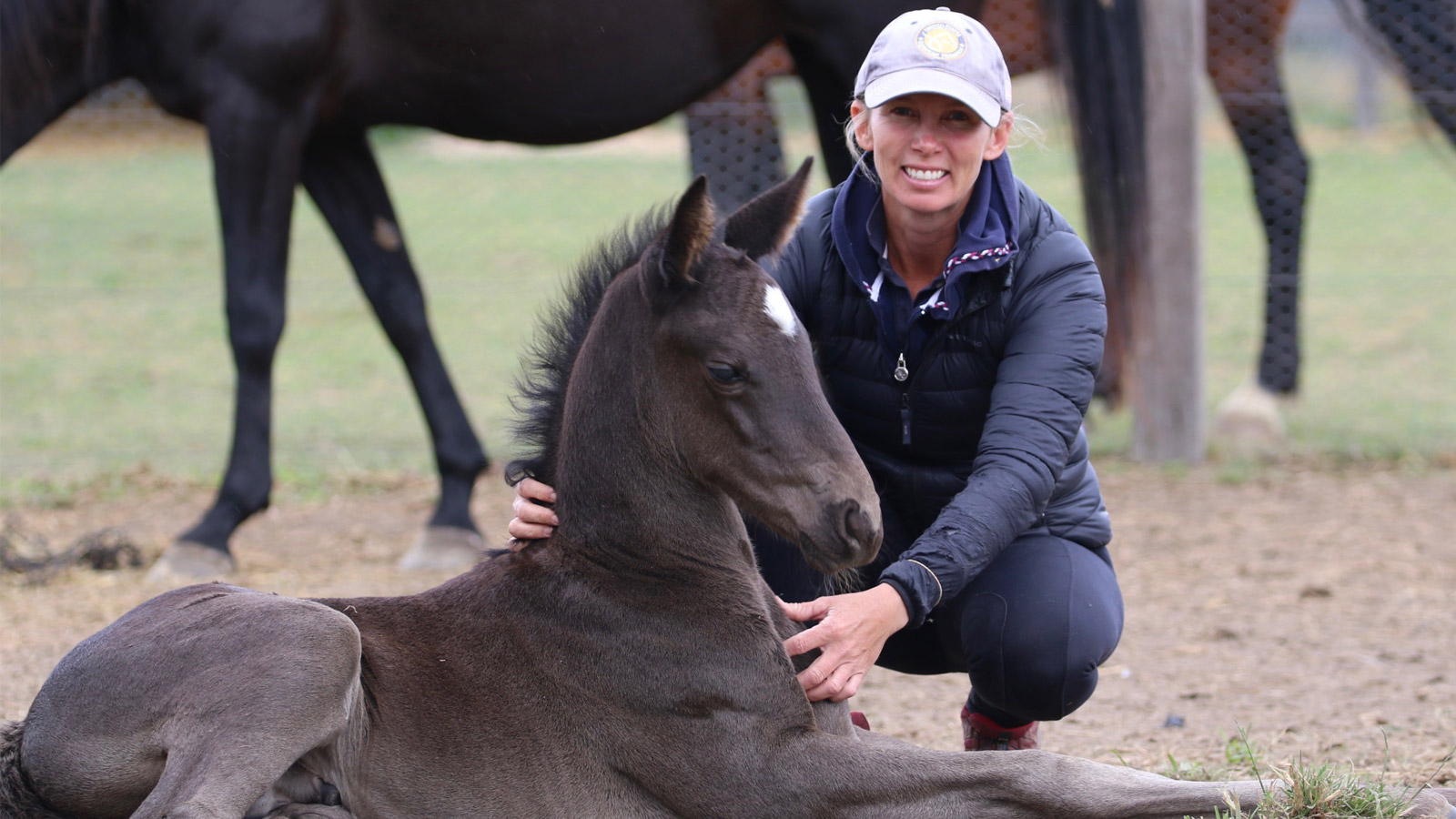 GLENHILL BRINGS NEW BLOOD