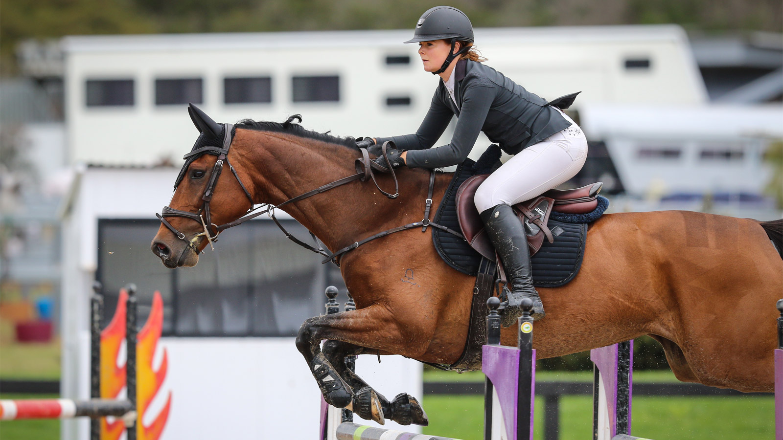YOUNG RIDERS IN THE SPOTLIGHT