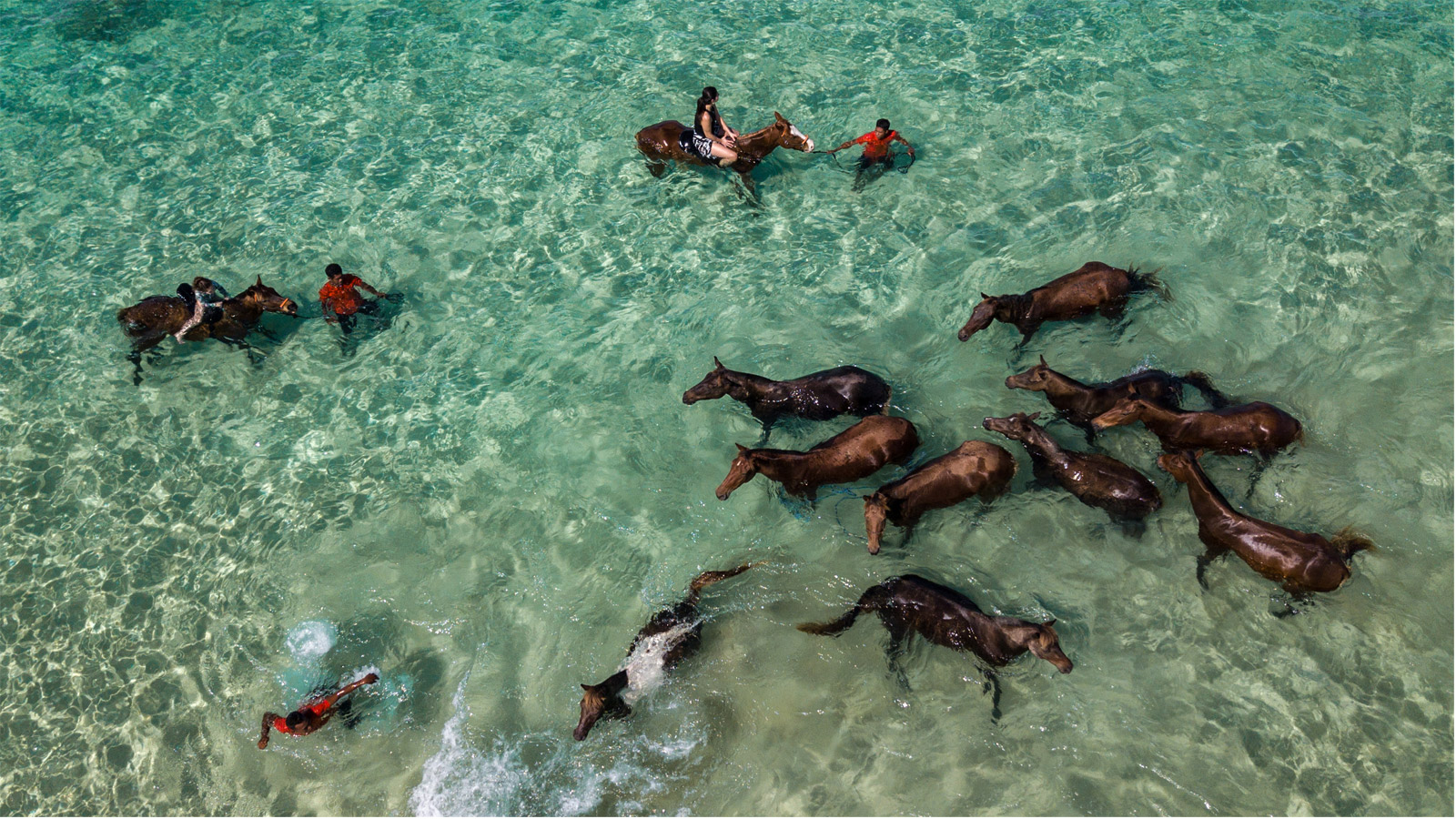 A HORSE WHISPERER BRINGS JOY TO NIHI SUMBA
