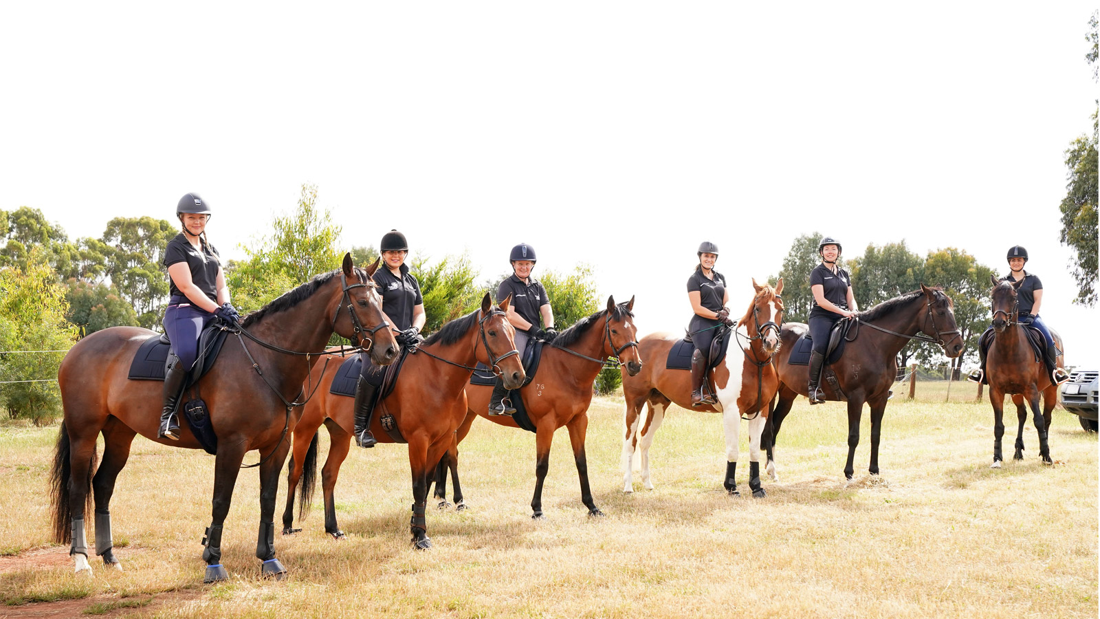 THE WOMEN TRANSFORMING EQUINE WELFARE