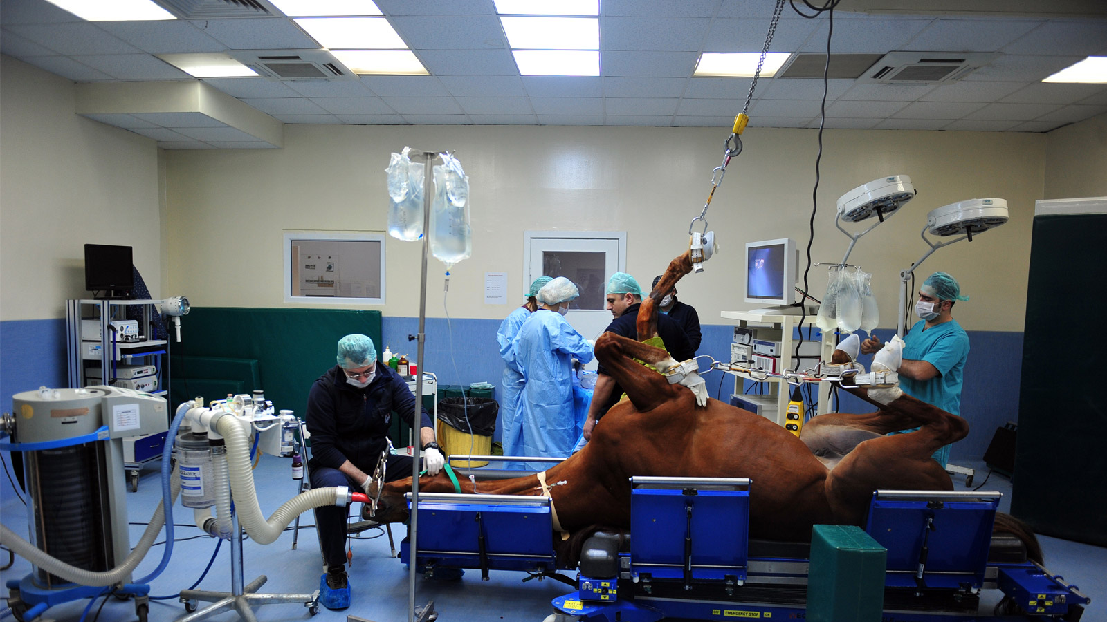 UNDERSTANDING ANAESTHESIA