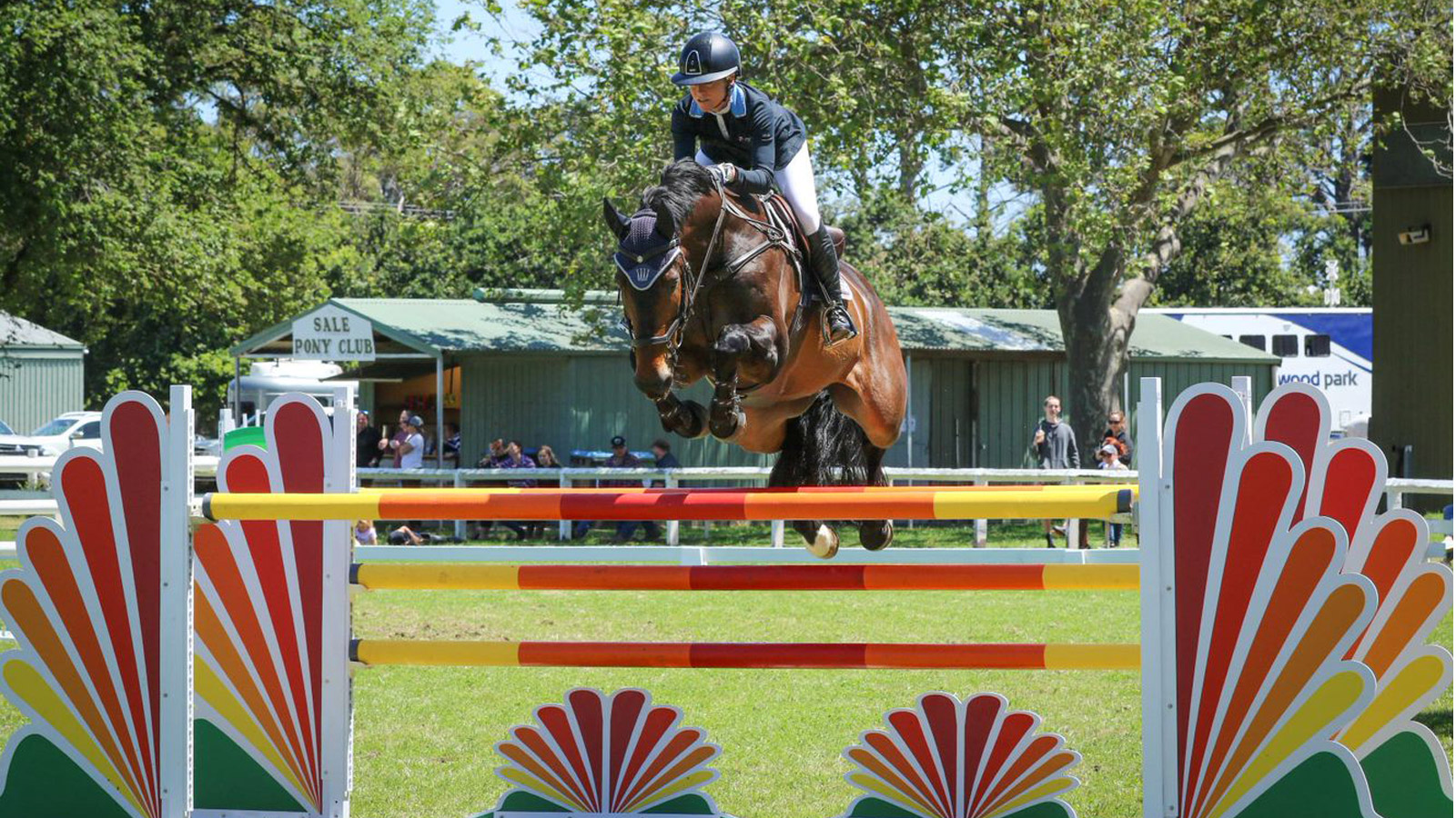 AMANDA’S BIG LEAP INTO SHOWJUMPING