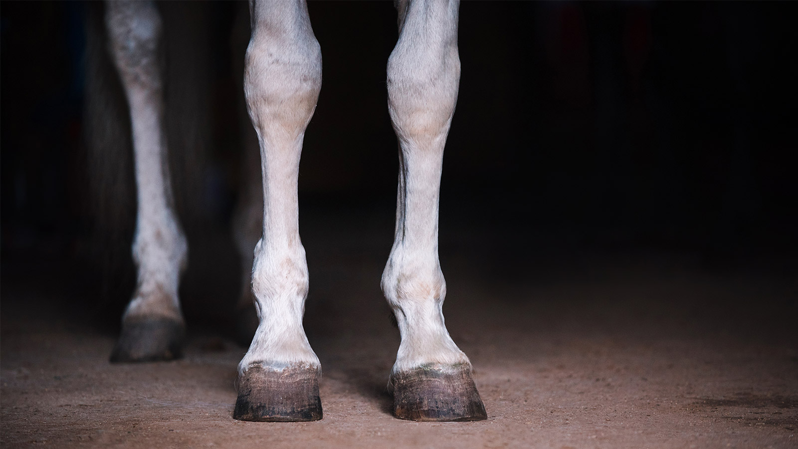 OSTEOCHONDROMAS: BENIGN BUT IRRITATING