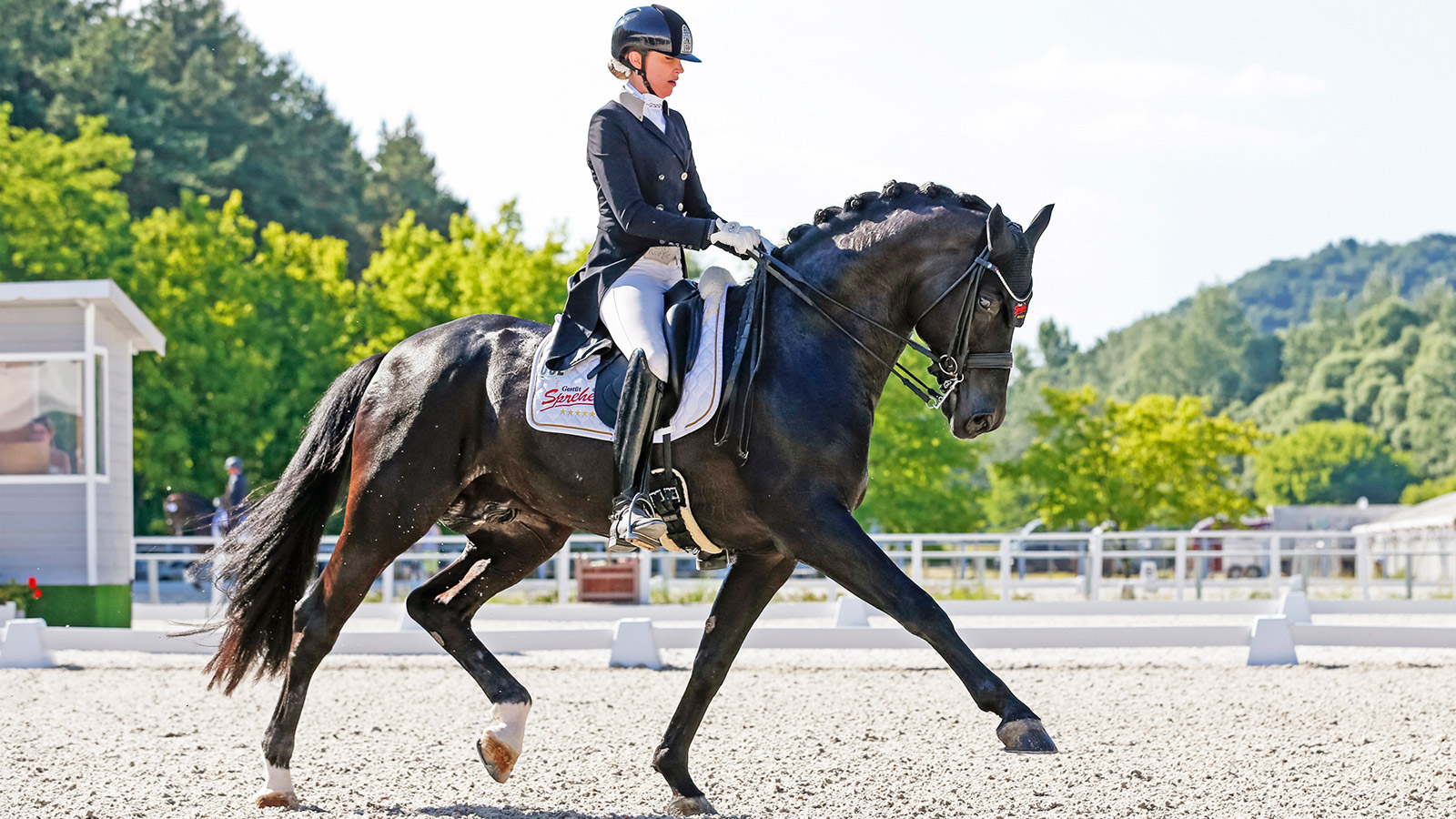 DEVIL IN THE DETAIL IN DRESSAGE TEAM SELECTION