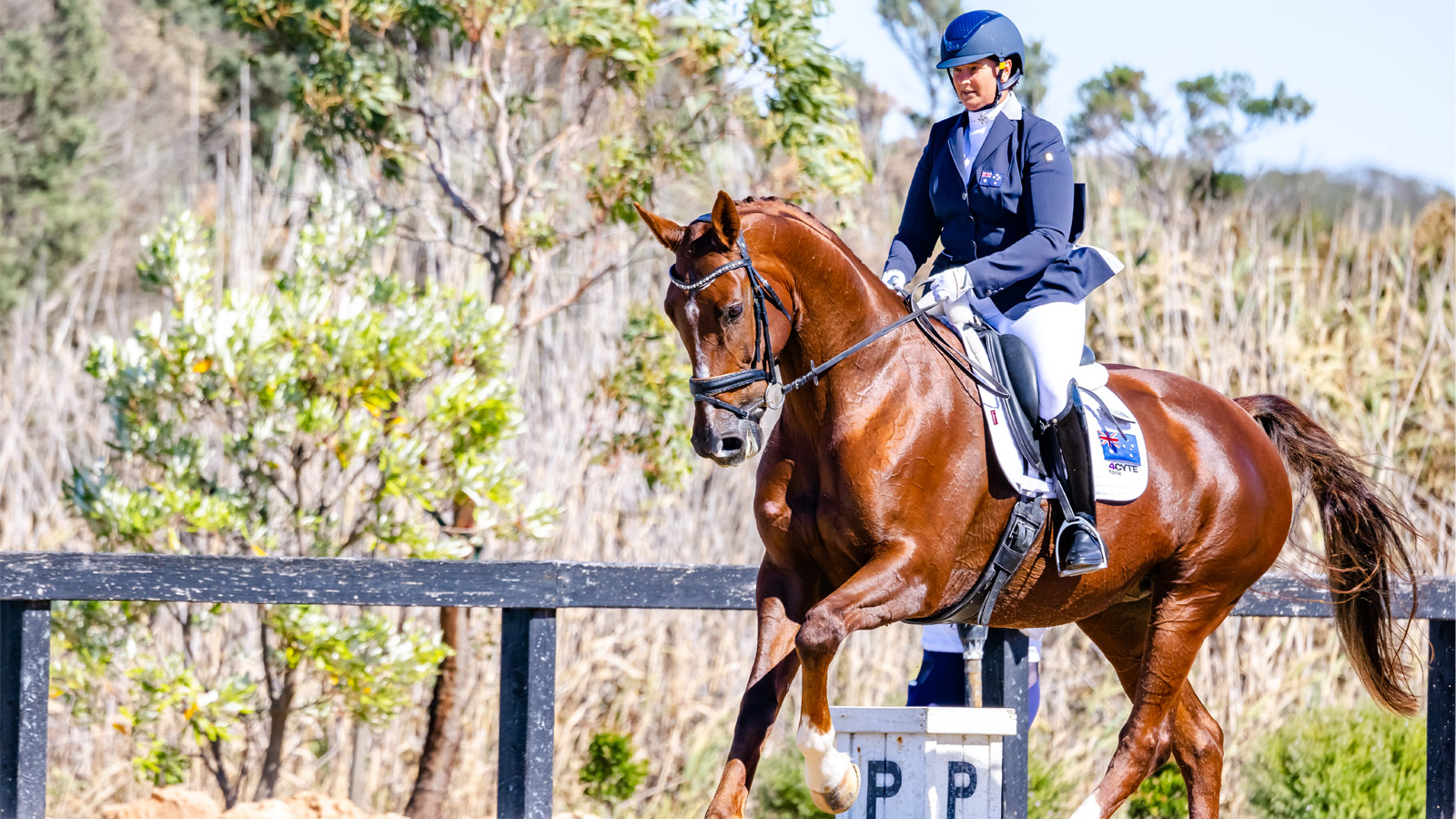 PARA NATIONALS SET THE PACE FOR HERNING