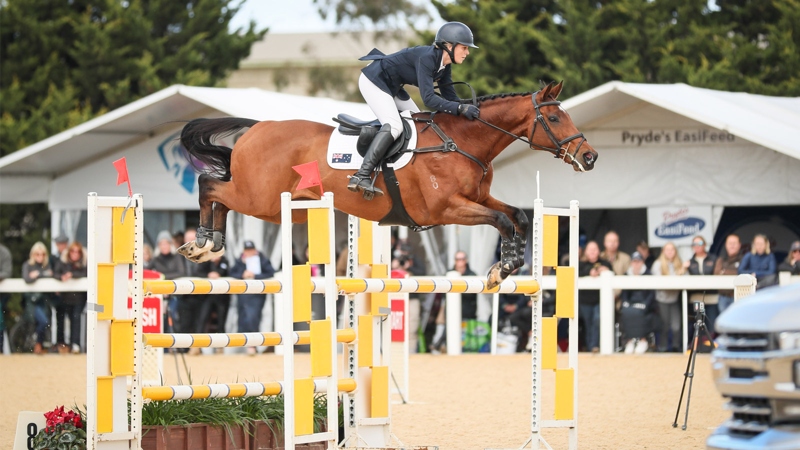 SHENAE & BOLD VENTURE TAKE IT UP A NOTCH