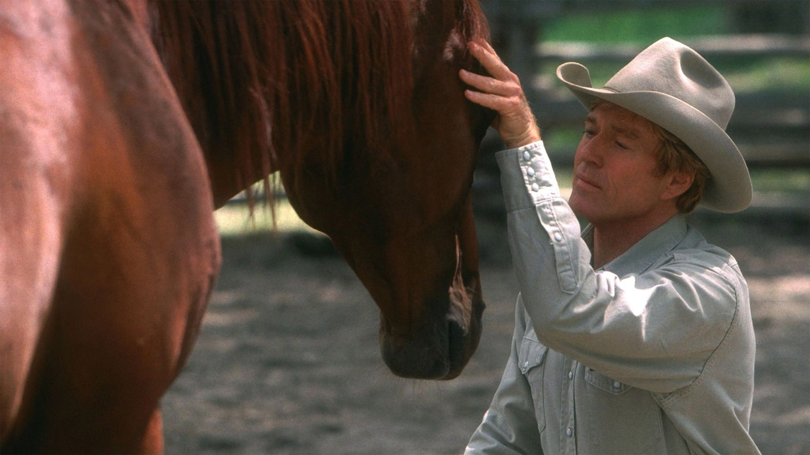 INSIDE ‘THE HORSE WHISPERER’