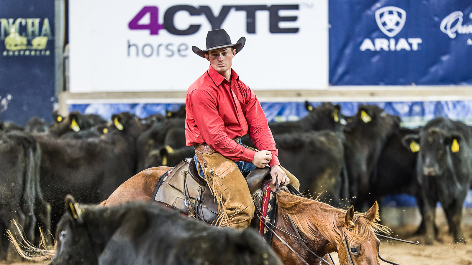 NCHA FUTURITY BACK WITH A BANG