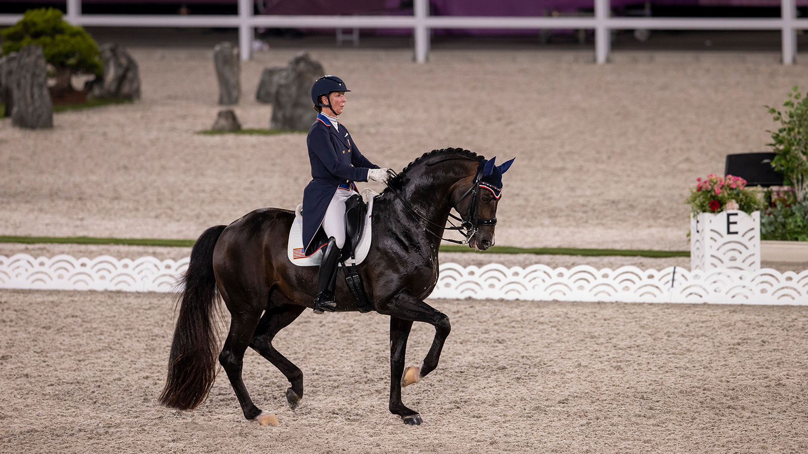 THE LANGUAGE<br> OF DRESSAGE:<br> COLLECTION