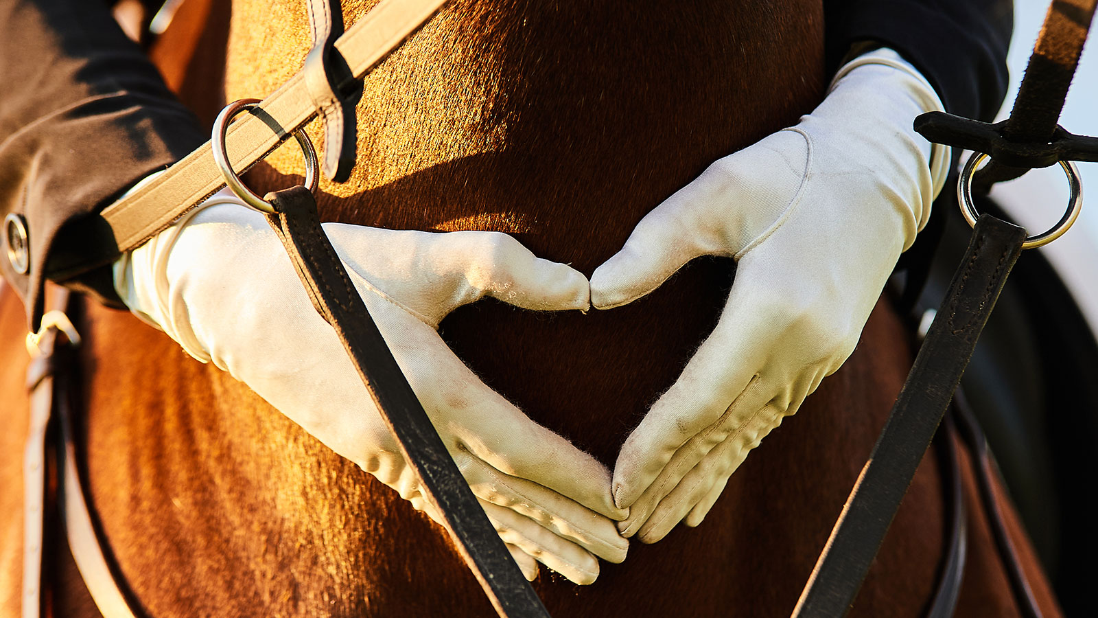 MATTERS OF THE HEART