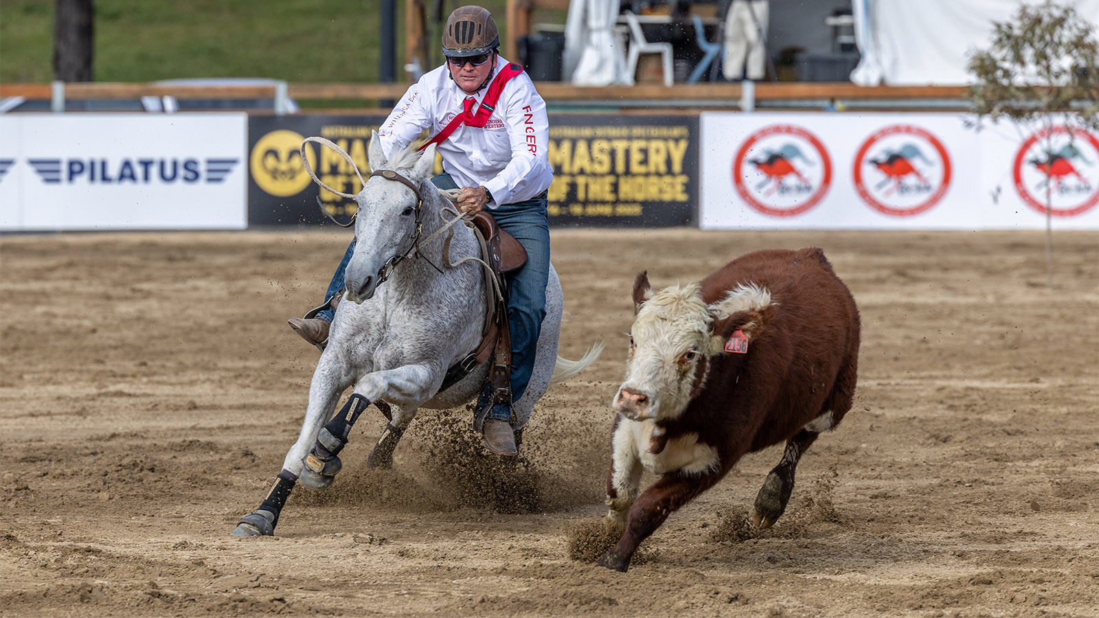 PETE COMISKEY NAILS THIRD GOLD BUCKLE
