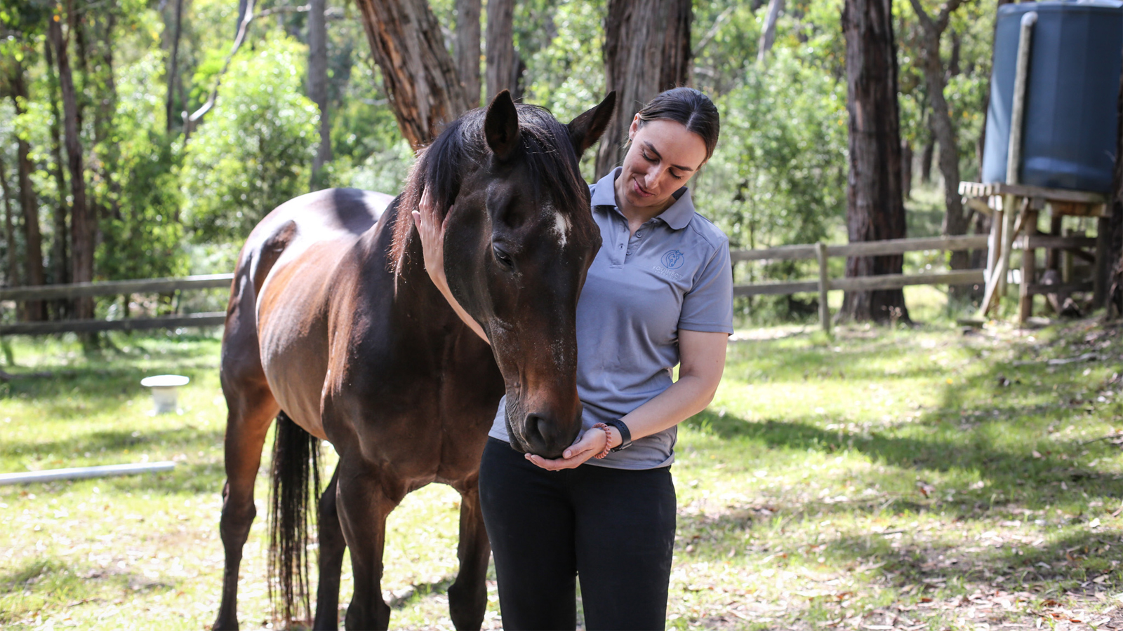 THERAPY HORSES <br>WORK THEIR MAGIC