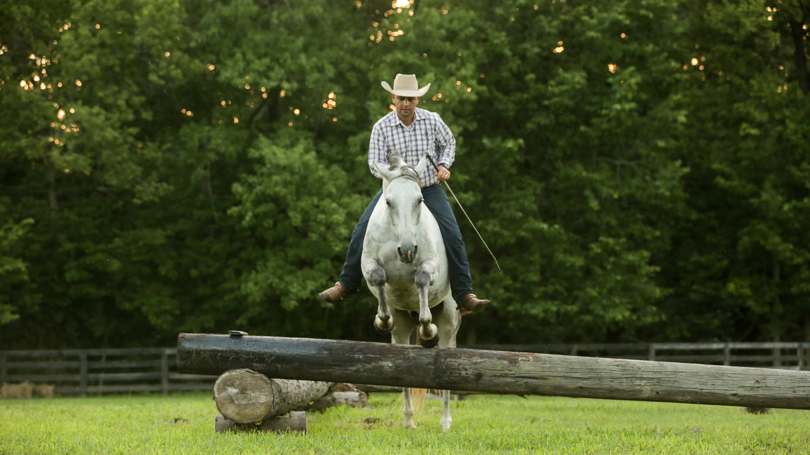 THE ART OF HORSEMANSHIP