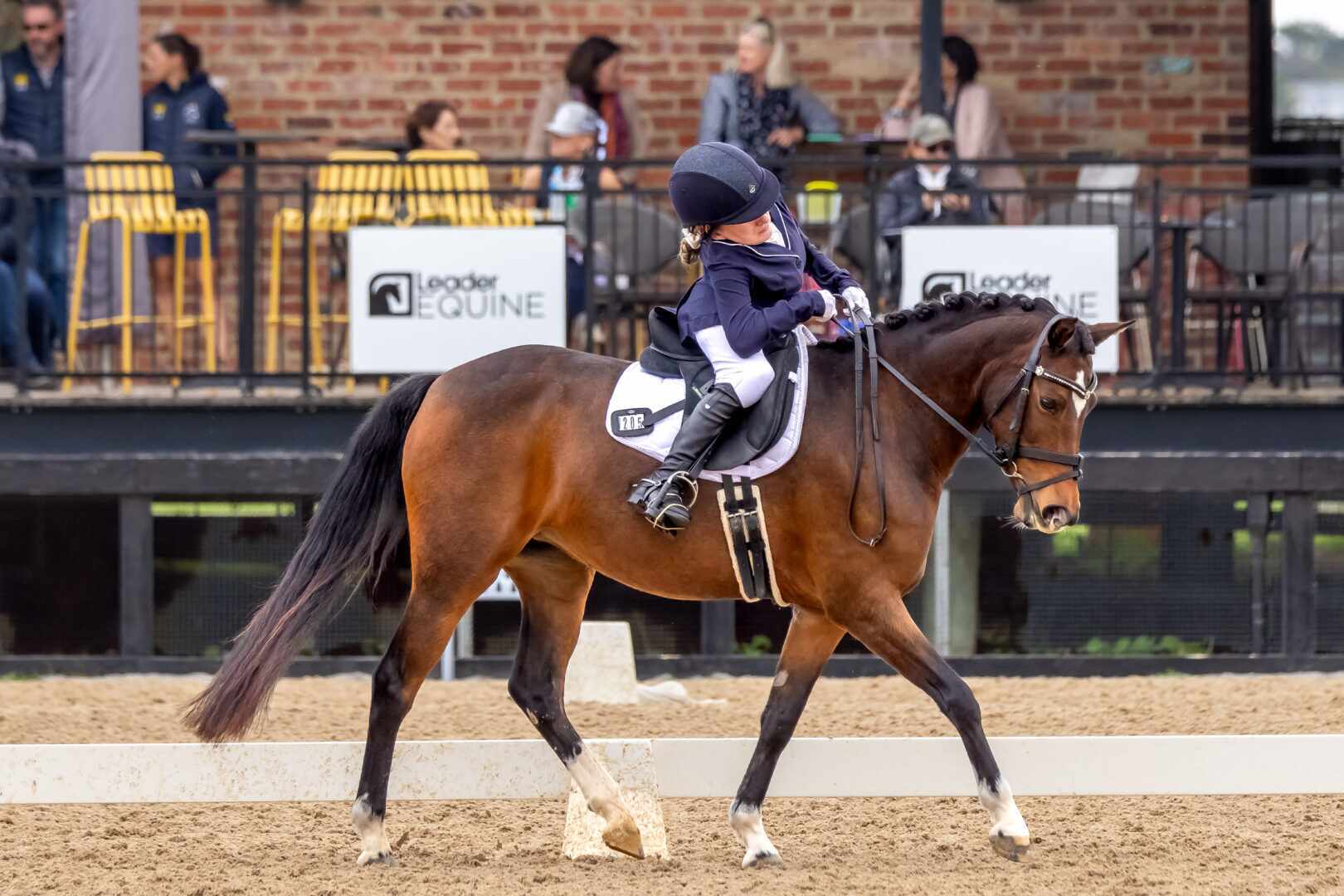 Boneo Park to host the 2026 Australian Dressage, Pony Dressage and Para