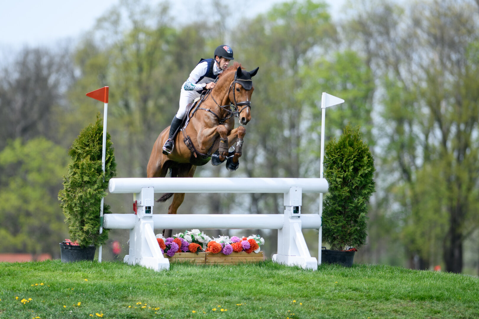 Your guide to Eventing at the Paris 2024 Olympics Equestrian Life