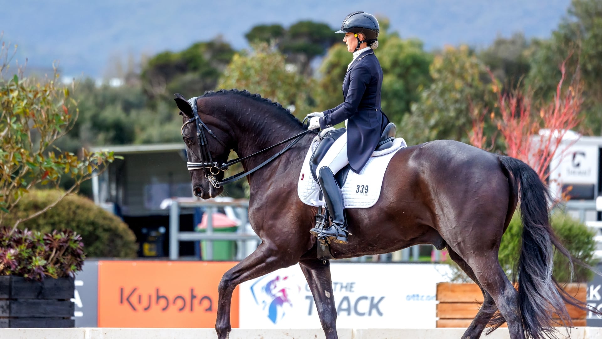 BONEO PARK CDI: A TRUE WINTER CLASSIC