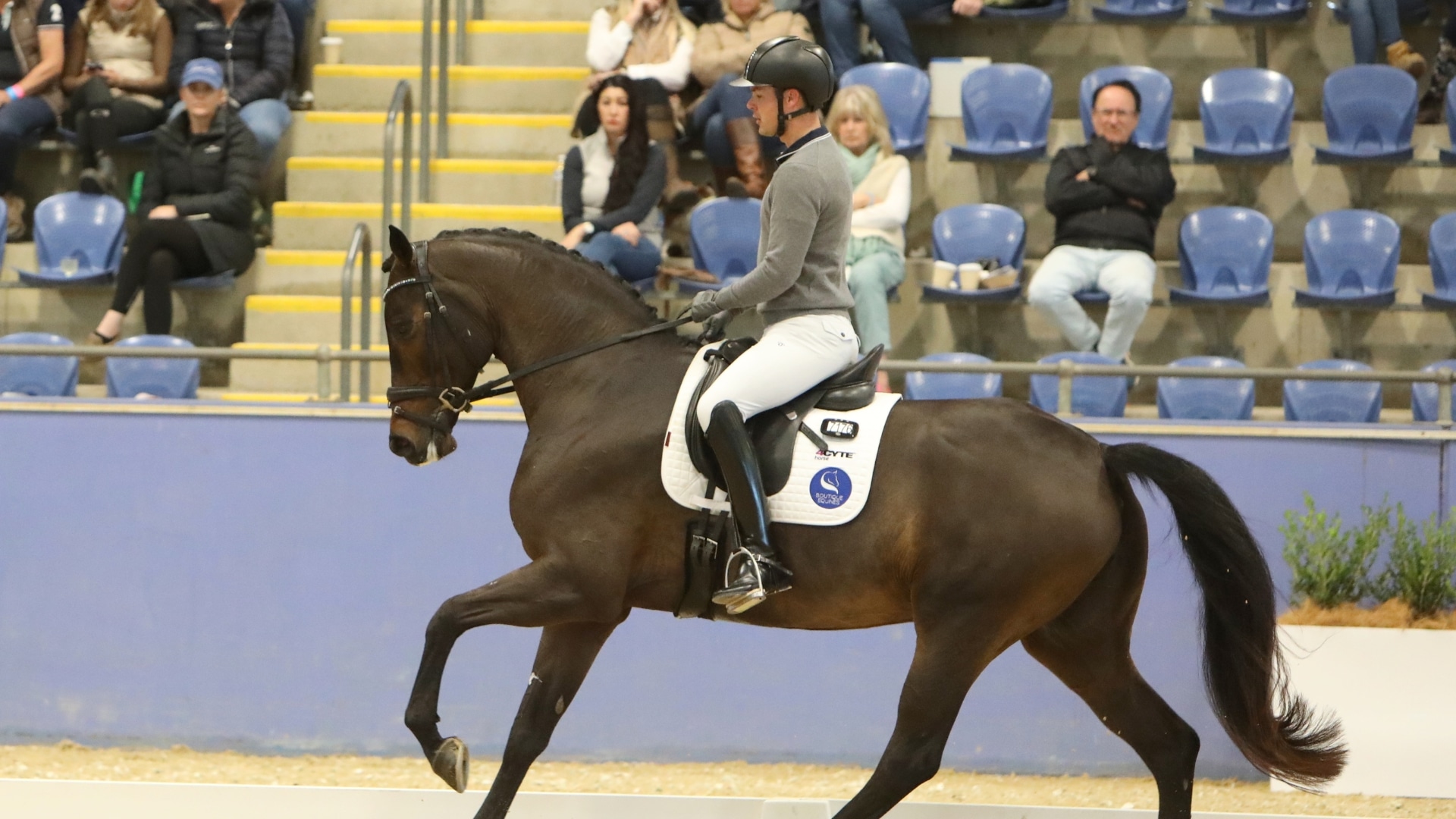 WHAT JYE THURGATE SAW IN OUR HORSES