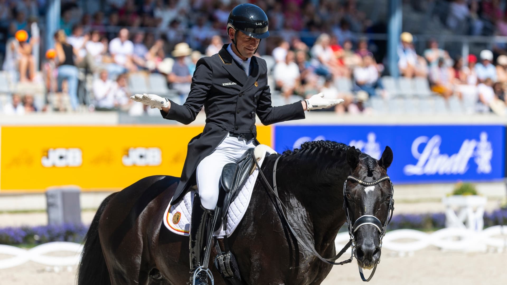 ZONIK PLUS: A NEW STAR IN DRESSAGE
