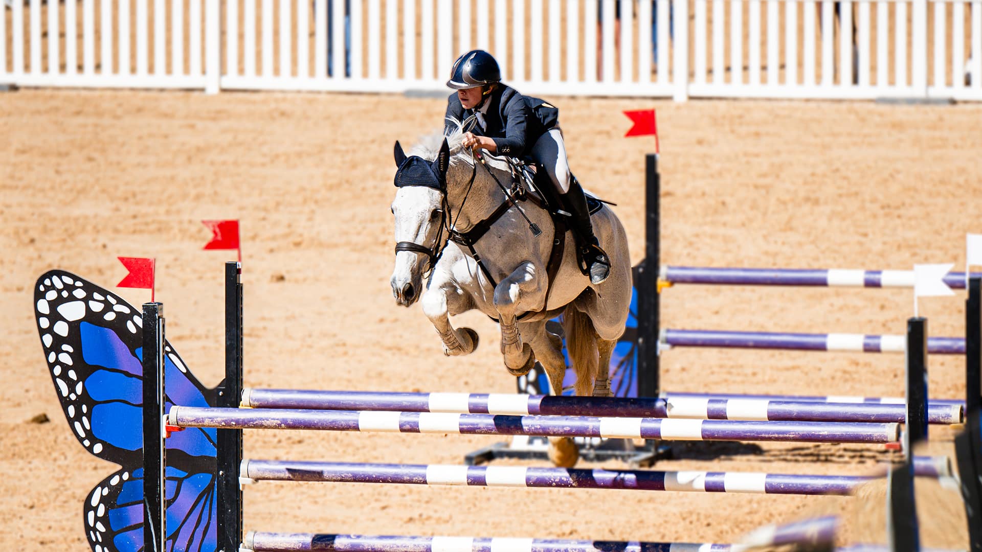 HARLEY MCNAUGHTON’S JOURNEY TO THE WORLD STAGE