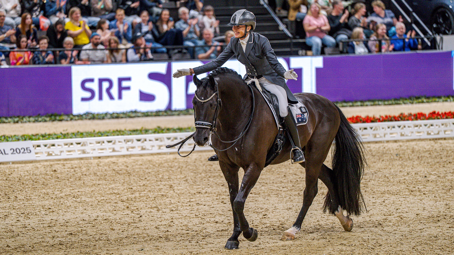 WISDOM IN THE WEARY: A LIFE IN DRESSAGE