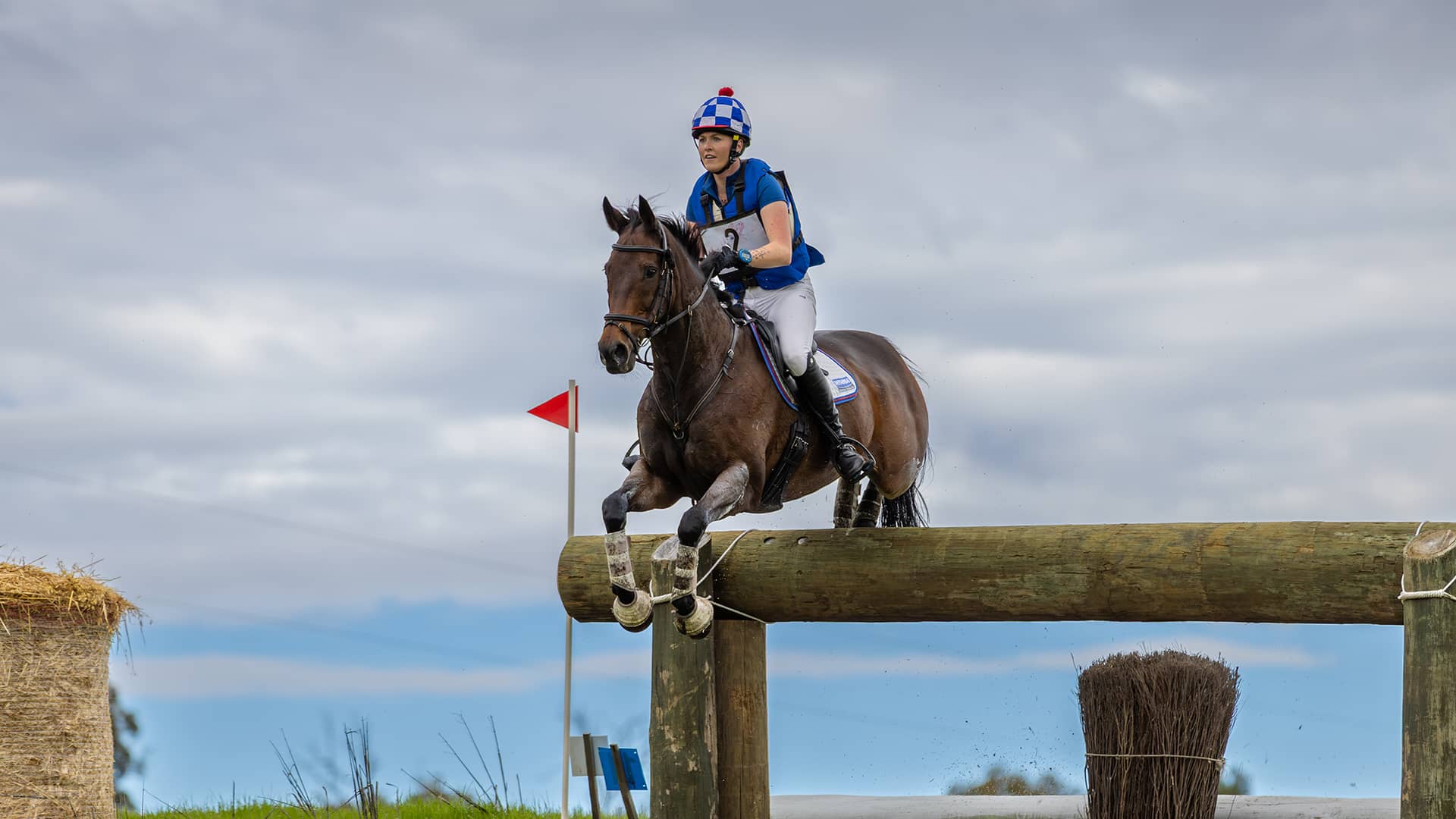 THOROUGHBREDS SHINE AT WOOROLOO INTERNATIONAL