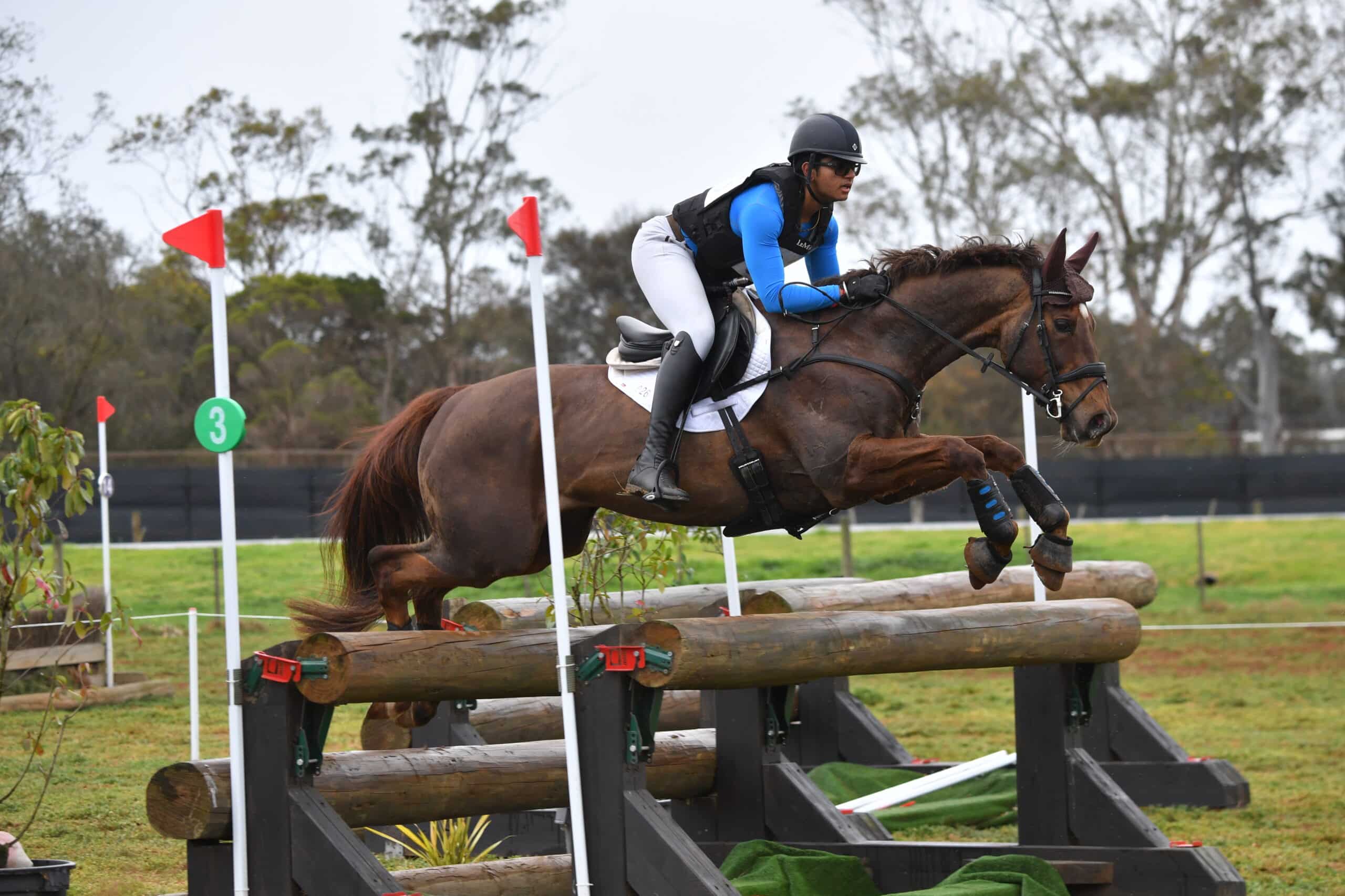 Magazine Banner Image