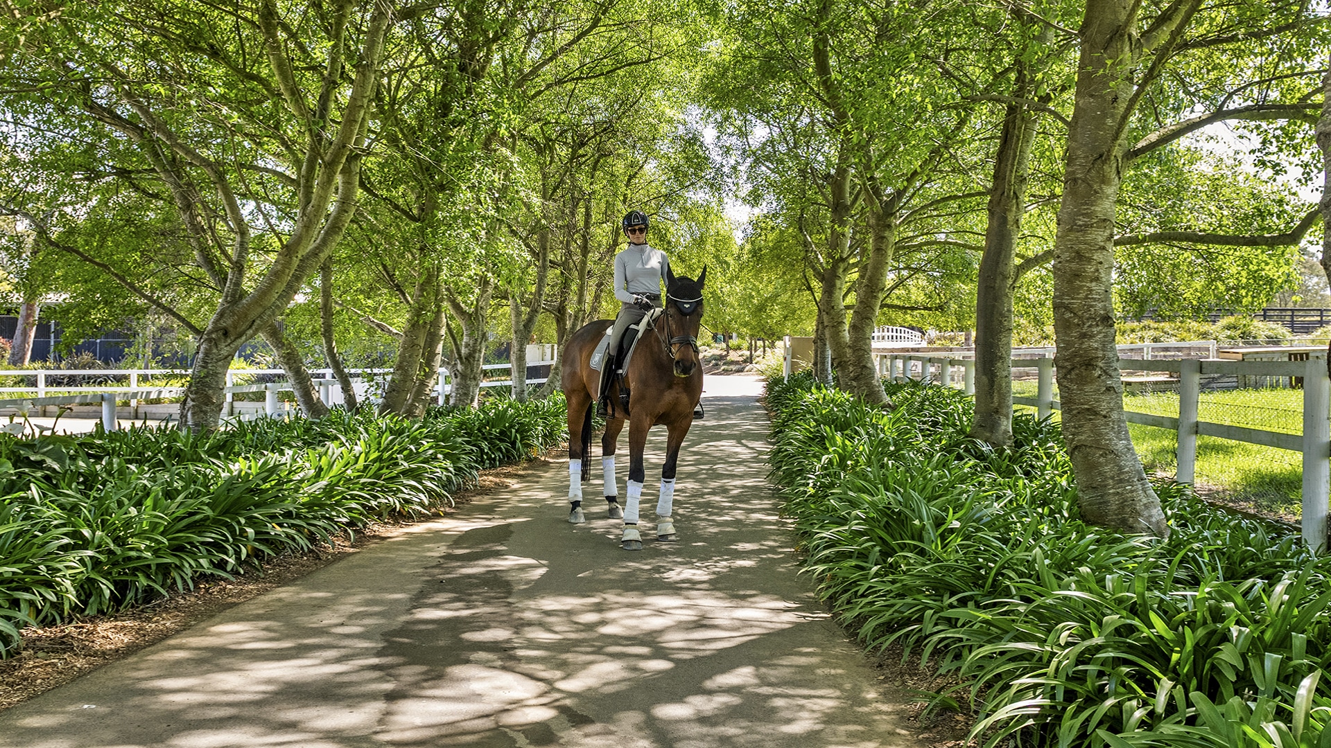 LIFESTYLE MEETS OPPORTUNITY AT RED HILL EQUESTRIAN