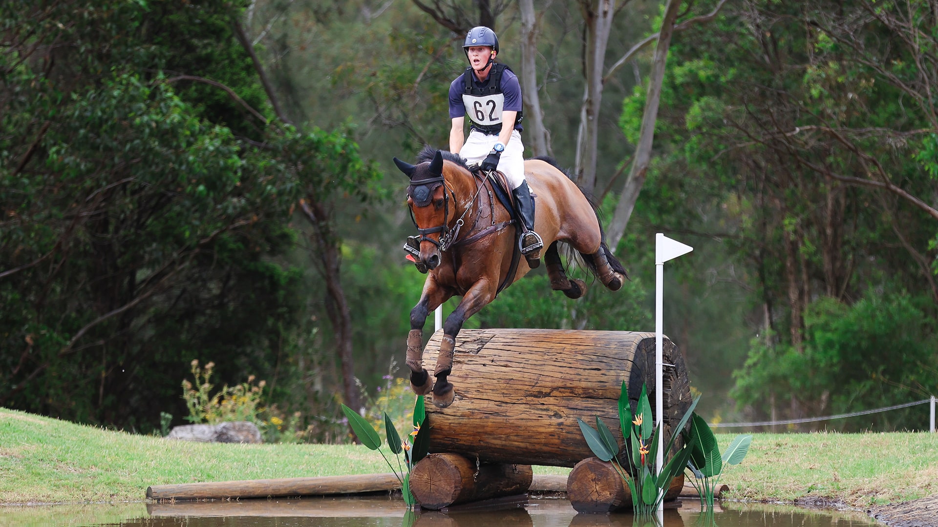 Magazine Banner Image