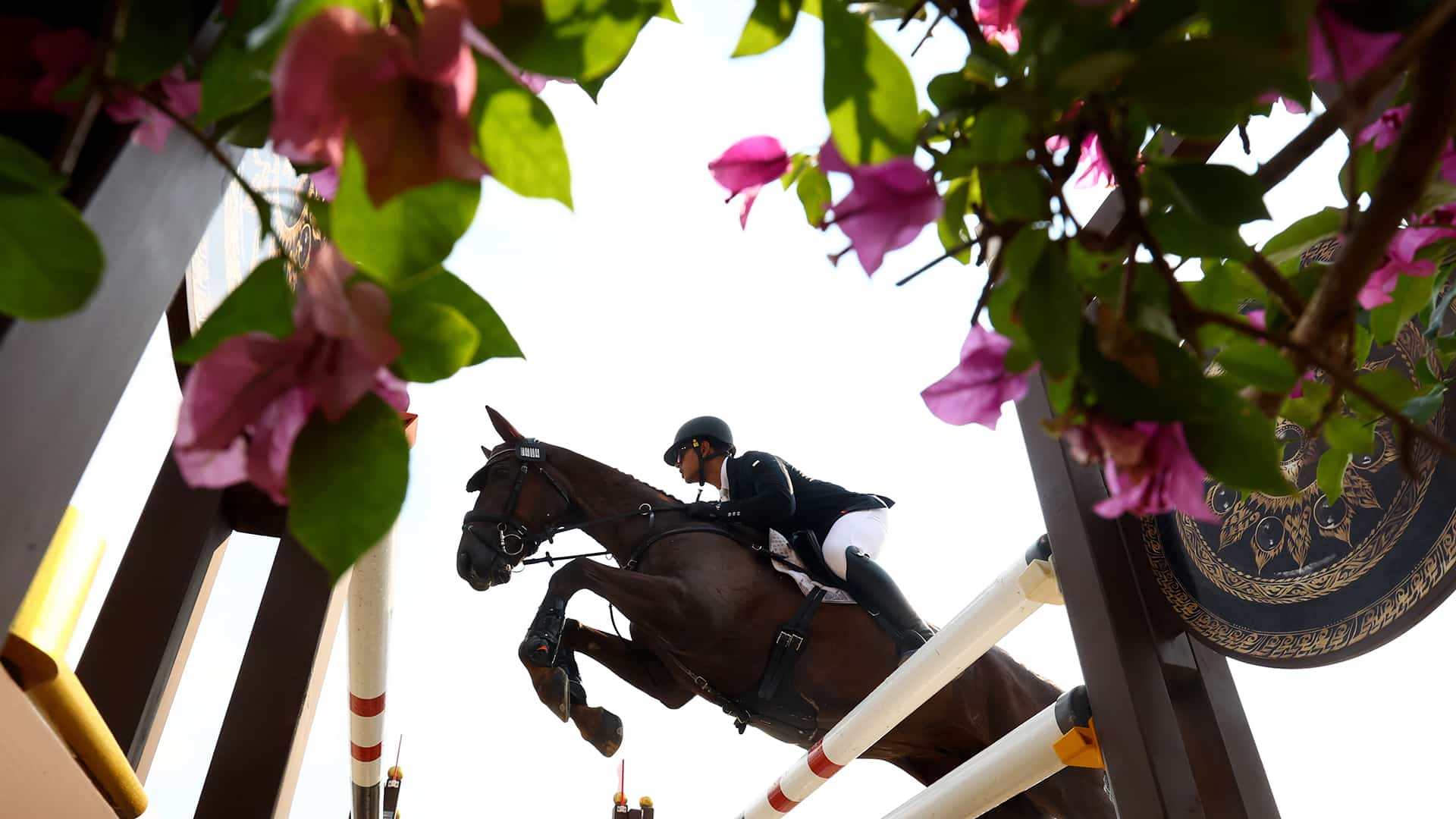 ACCIDENTAL EQUESTRIAN RIDES FOR HIS COUNTRY