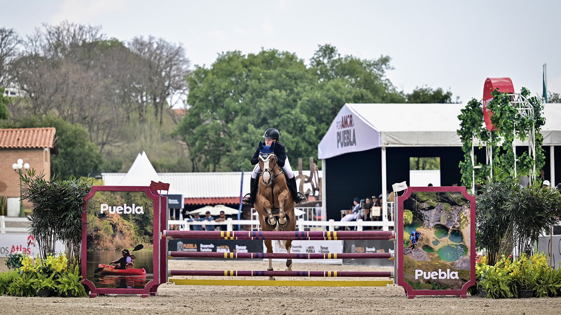 Magazine Banner Image