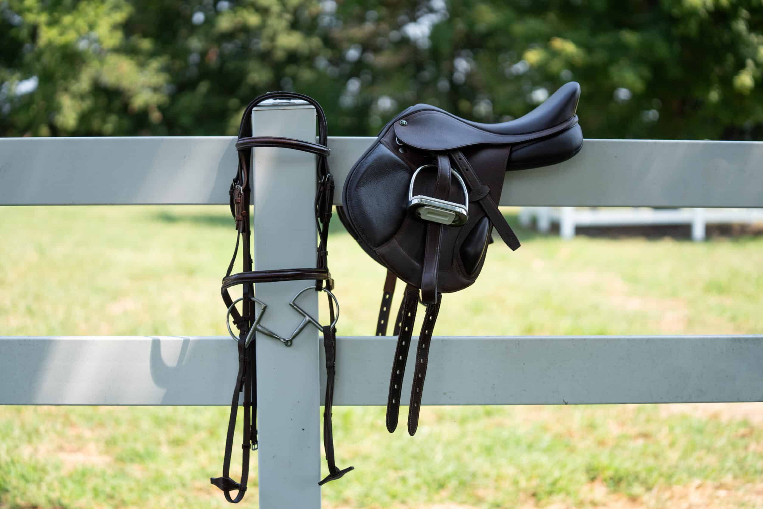AFFORDABLE CHRISTMAS GIFTS FOR HORSE LOVERS