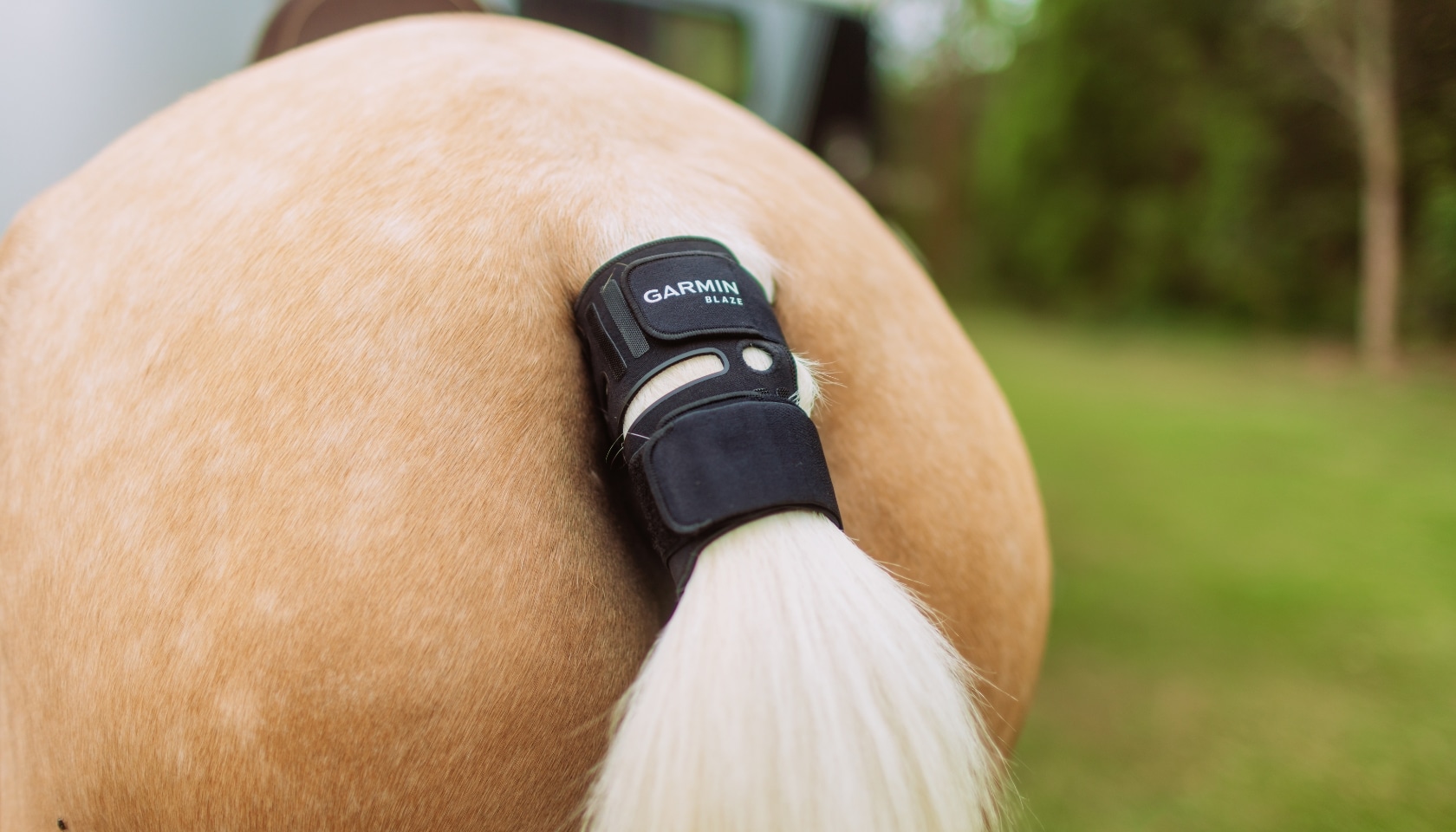 Magazine Banner Image