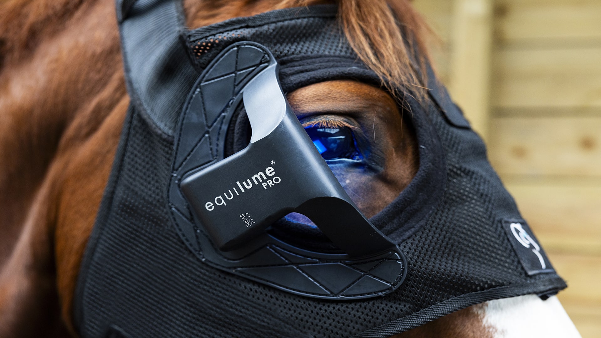 HOW BLUE LIGHT TECHNOLOGY IS HELPING HORSES WITH PPID AND HEADSHAKING