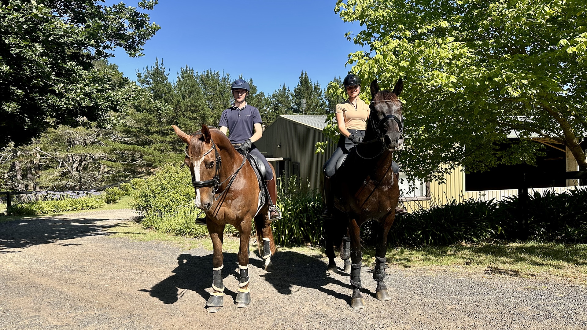 Magazine Banner Image