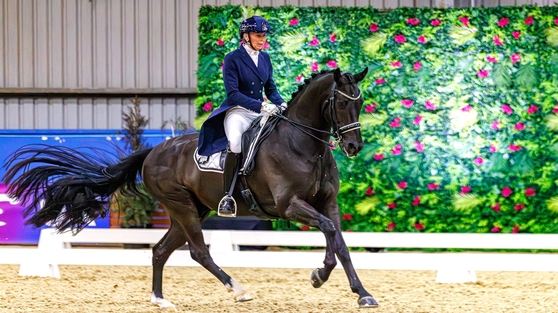 Magazine Banner Image