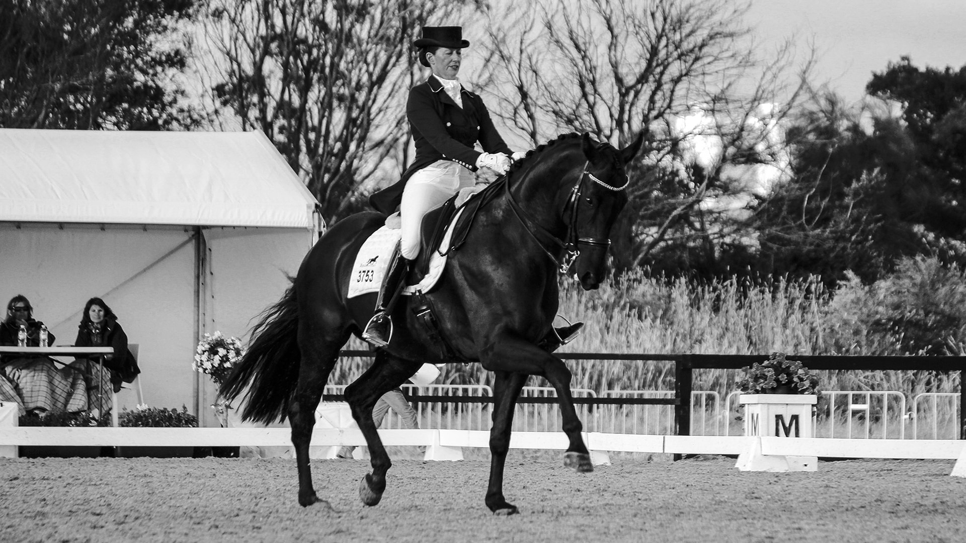 Magazine Banner Image