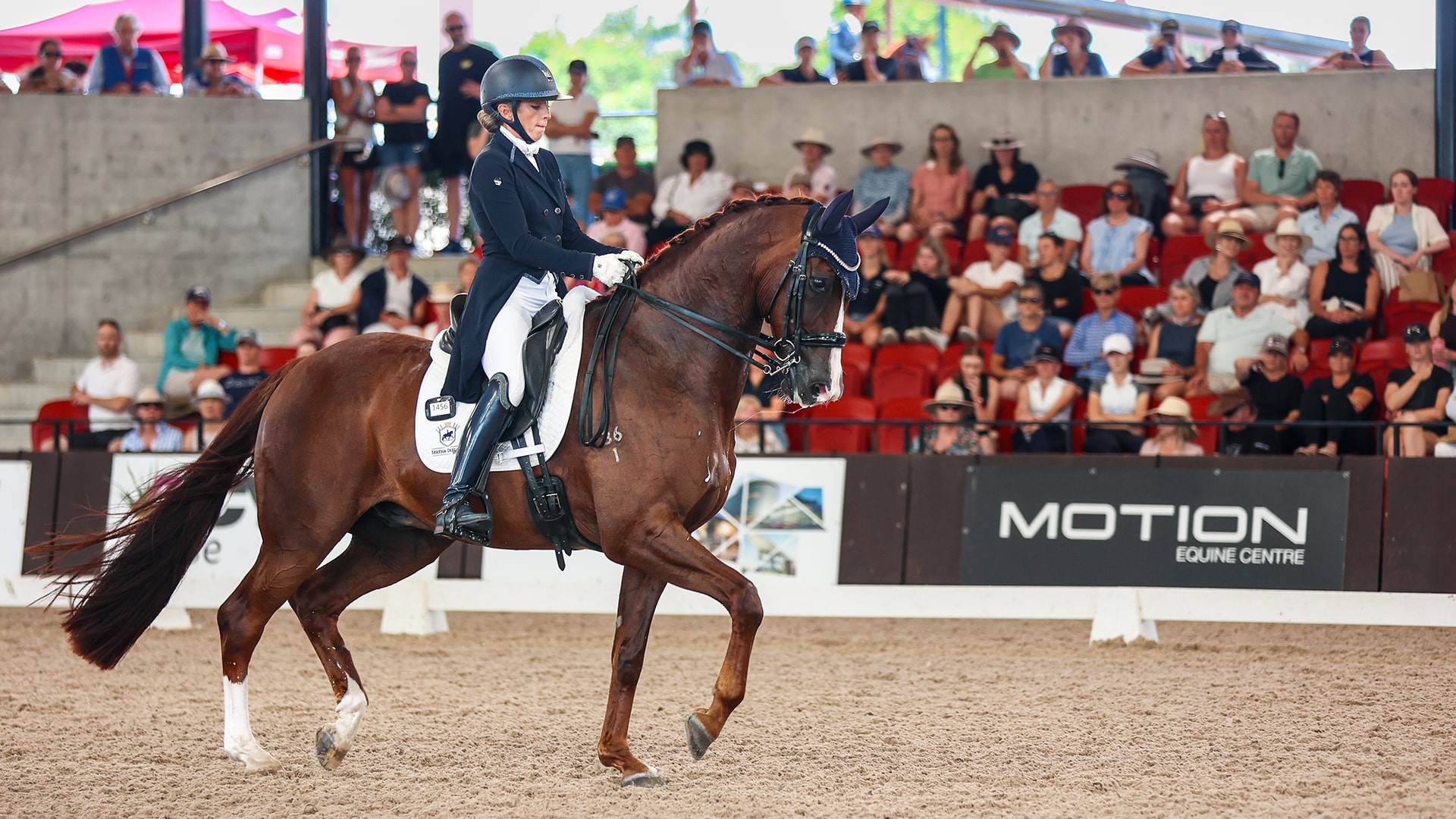 CHOOSING THE DREAM: SERENA, RUSTY & THE ROAD TO TEXAS